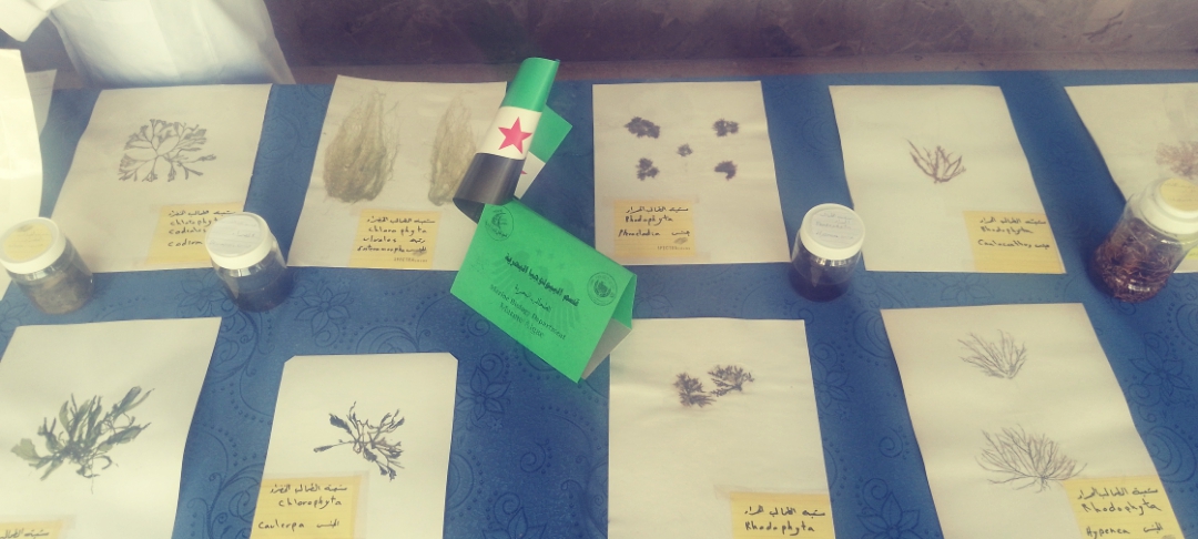 مقتطفات من معرض البيئة البحرية الذي اقيم في المعهد العالي للبحوث البحرية بمناسبة ذكرى يوم التحرير والثورة