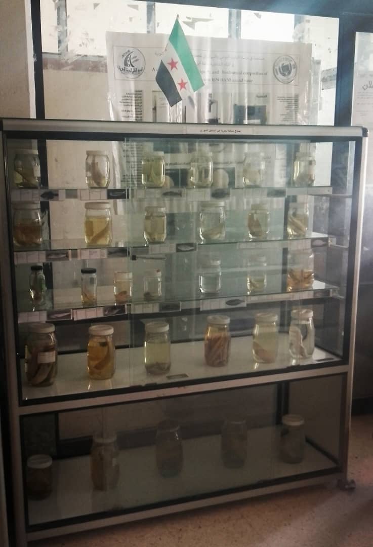 مقتطفات من معرض البيئة البحرية الذي اقيم في المعهد العالي للبحوث البحرية بمناسبة ذكرى يوم التحرير والثورة