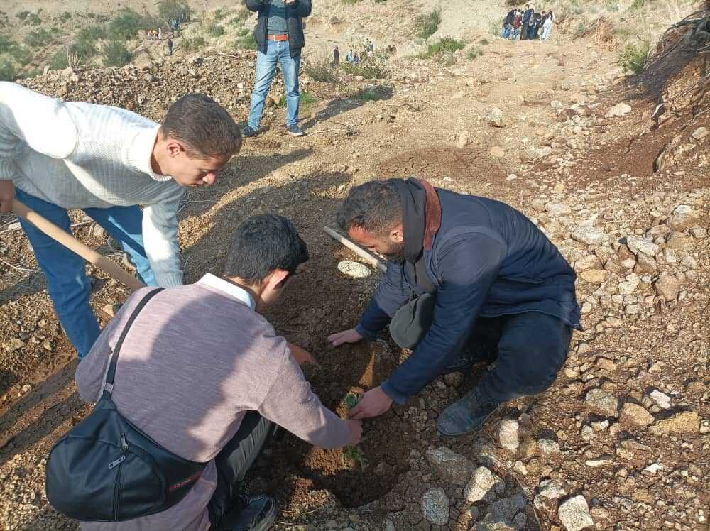 بمشاركة 600 طالبا وطالبة من جامعة تشرين حملة تشجير في محمية ام الطيور