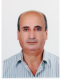 الأستاذ الدكتور وجيه محمد علي