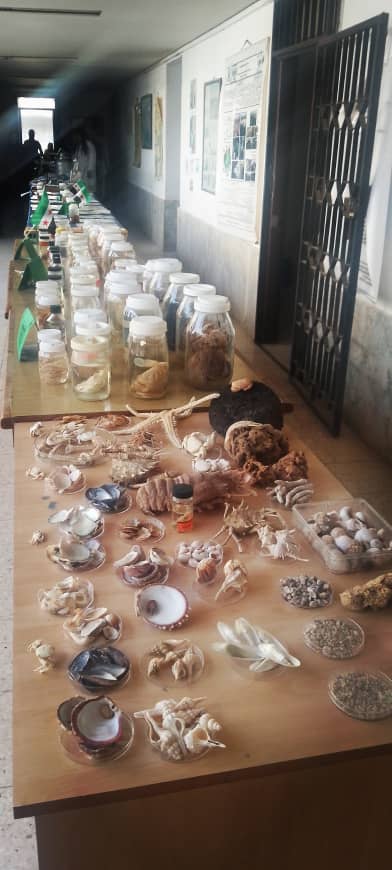 مقتطفات من معرض البيئة البحرية الذي اقيم في المعهد العالي للبحوث البحرية بمناسبة ذكرى يوم التحرير والثورة