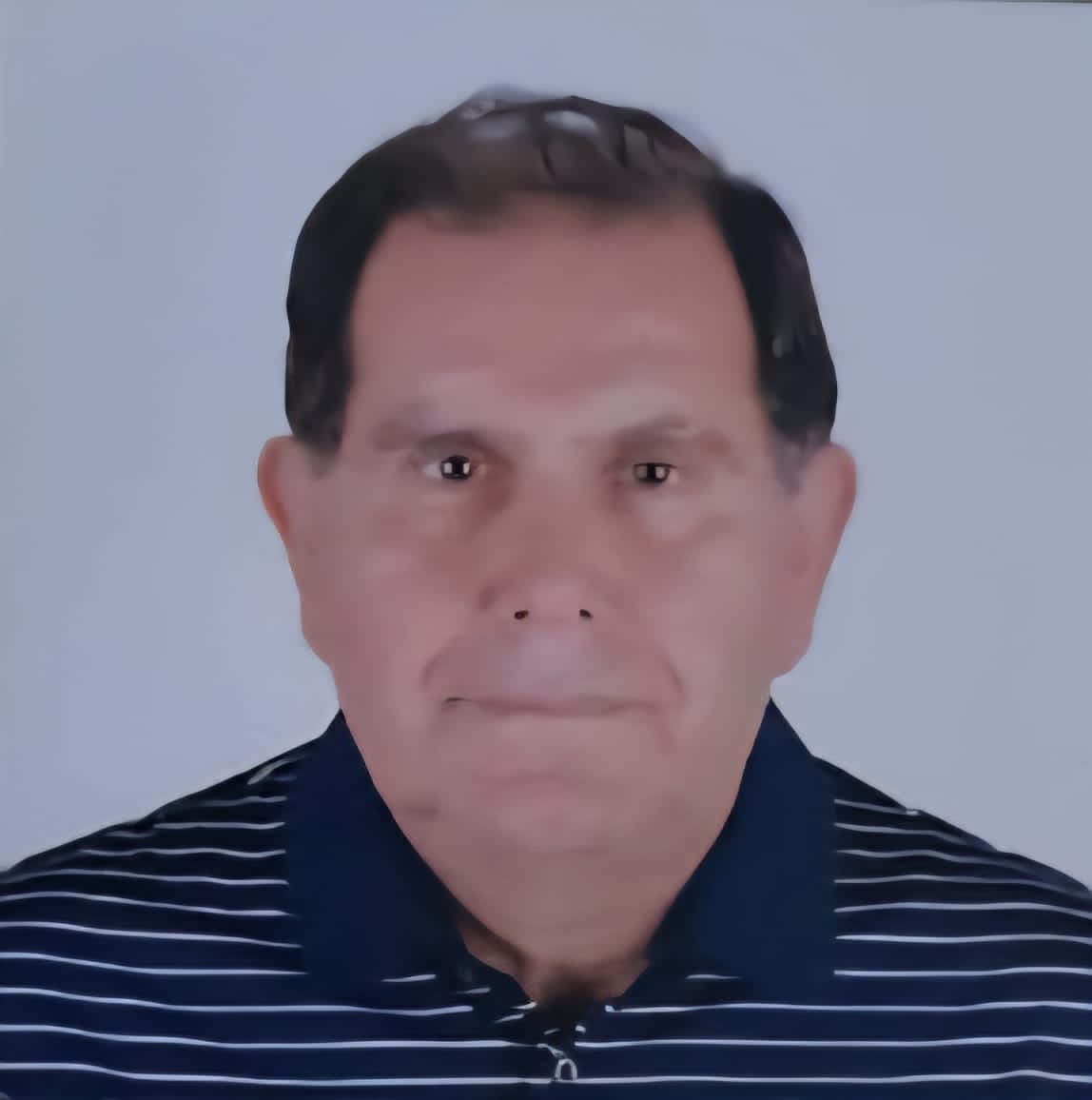 الأستاذ الدكتور حميد بديع سليمان