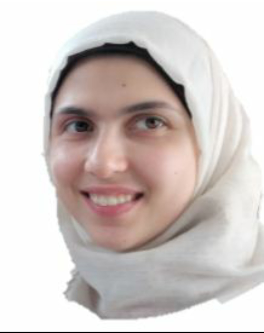 Engineer Alaa Nabel Haj Najeeb