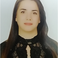 HAMSAH HASAN HAMDAN