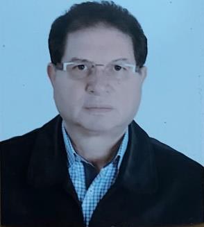 الأستاذ الدكتور علي شحود