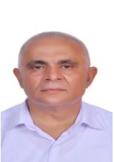 الأستاذ الدكتور محسن مزيد أحمد
