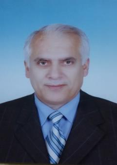 الأستاذ الدكتور أحمد محمد